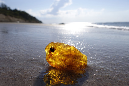 Echter Bernstein an der Ostsee