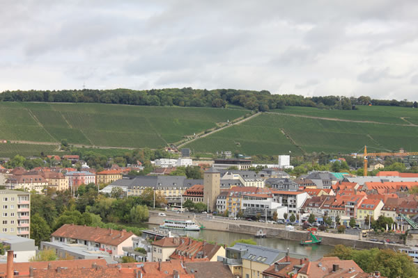 Blick auf die Weinberge in Würzburg