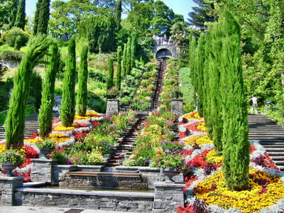 Blumen auf der Insel Mainau im Mai