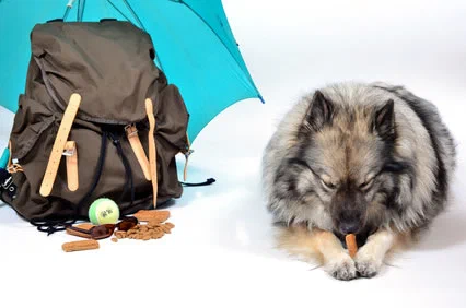 Wochenendtrip mit dem Hund